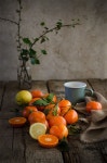 Fruits에 관한 136개의 최상의 Pinterest 이미지 | 간식, 신선한 과일 및 야채 Fruits