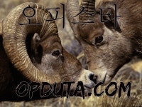 분당휴게텔 무료야동 ◈아밤◈ ◈밤전◈ 《◈오피스타◈》✲【→◈OPDUTA.COM◈←】✲아찔한밤✲