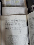 031~429~2037 솔로몬 경기 노아의 감사한 하루에 있는 솔로몬 경기 노아의 감사한 하루님의 핀 - 2023 | 솔로몬