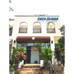 식물원이 있는 카페!  # #일상#daily#스냅#snap#cafe#카페#카페투어… | House styles, Mansions, House