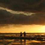 곽태풍 [Gwak Tae Poong]- Sunflower! (remastered)