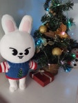 Pin by Лана on 여우비 in 2022 | Christmas ornaments, Novelty christmas, Holiday decor
