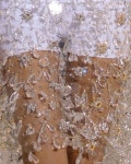 Lush Life에 관한 236개의 최상의 Pinterest 이미지 | 웨딩드레스, 하이 패션 및 The dress Lush Life 