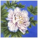 부산화실/부산채색화/공필화/부산취미미술/한국화/부산그림배우기 | 한국화, 꽃그림, 중국화