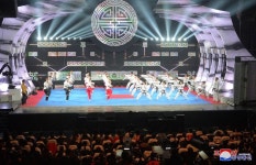 북남태권도인들의 합동시범출연 서울에서 진행