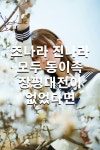 조나라 진나라 모두 동이족 장평대전이 없었다면 - 2020 | 설리