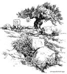 钢笔画에 있는 甓 瓦님의 핀 - 2023 | 드로잉, 수채화, 스케치