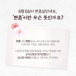 CARD NEWS에 있는 윤수민님의 핀 | 템플릿, 무료 아이콘, 카드