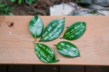 WellnessTourismKorea, #WellnessTourismSupporters, #서귀포치유의숲, #웰니스관광서포터즈, #한국웰니스, #한국웰니스관광,