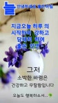 좋은 아침 인사에 있는 순임님의 핀 | 좋은 아침 인사, 아침 인사, 아침