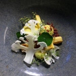 on Instagram: “Crispy roasted garlic crostini, braised beet & goat ch… | 식품 아이디어, 푸드 코디네이션, 음식