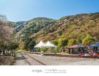 [문경 여행]문경 여행, 진남역 레일바이크안녕하세요? 포스트에디터 자유분방입니다. 오늘은 진남역에서...