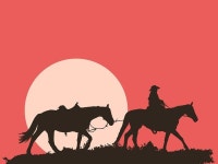 Pixabay의 무료 이미지 - 남자와 말, 선셋, 실루엣, 라이더, 풍경, 남자, 야생, 여행 | Horses, Cowboy pictures, Horse illustration
