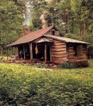 Cabin in the woods 🌲 | 작은 집, 숲속 집, 집안 꾸미기