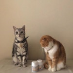 소금감자 on Instagram: “#협찬 #제품제공 ⠀ 혜민병원에서 소감이에게 선물을 보내주셨어요:-) 좋은 약을 나눠먹으면 좋겠다는 생각에 먼저... 