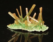 Image may contain: plant and outdoor | 광물