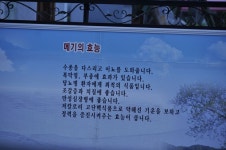 도가네식당..매기매운탕의 효능..20130706