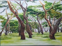 소나무숲 / 박선희그림