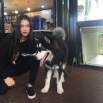 HANSEL 한슬 di Instagram 멍멍이
