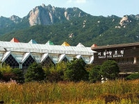 서울 북구 끝자락의 창포원과 도심속 산 도봉산 전경과 잘 어우러진 숲속의 작은 빈터 (A small vacant lot in the woods) | 여행지