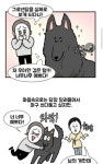 길가다 대형견 만났을때 개공감 Pin on 유머/썰/재미/이슈