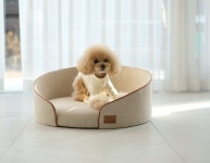 반려동물 하우스 디자인 아이니드어썸 | Dog furniture, Pet furniture, Pet hotel