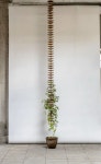 Pin by 김하은 on 인테리어 | House plants indoor, Balcony plants, Plant decor