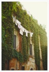 Laundry...의 최고 인기 이미지 91개 | 빨래방, 전원 생활 및 시골 생활 Laundry...