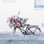 A U D U B O N에 있는 a s h l e y andrea님의 핀 | 플로리스트