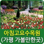 경기도 가볼만한곳 중 하나로 가평군 상면 축령산 자락에 위치하고 있는 < 아침고요수목원 >은 22여개 주제로 정원이 꾸며진 테마정원으로... 