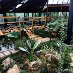 근교 카페 야외 - Google 검색 | 여행, 여행지, 정원 카페