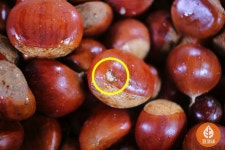 Pin on 생활상식