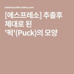 [에스프레소] 추출후 제대로 된 퍽(Puck)의 모양 | 에스프레소, 모양, 의
