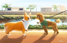 개 | dog illustration | 해질녘 산책 in 2021 | Illustration art girl, Animal drawings, Art girl