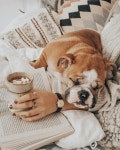 221 best Love images on Pinterest | 강아지, 여행지 및 오드리 햅번 Love