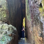 소원을 이루어 준다는 향일암. 여수 여행은 여수 엑스포때 가보고 처음.... 여기 향일암은 가봐야 한다길래… 향일암으로 가는 길은 너무... 