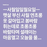 ㅡ사월일일월요일ㅡ 햇살 부신 사월 연초롱 옷 갈아입고 봄바람 휘는데로 초롱초롱 바람타며 설래이는 마음열고 오늘을 물들여... | 건강, 옷