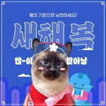 마마캣_SNS_설인사