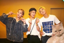 샤누 on | Song mino, Songs, Group photos