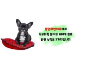 최고의 품질과 기술력으로 기대 이상의 서비스를 제공하는 동양피엔에프석유화학 분야의 HD... ​​최고의 품질과 기술력으로 기대 이상의... 