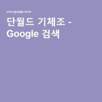 단월드 기체조 - Google 검색 | 행복, 건강, 검색
