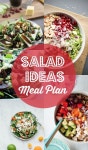 Feed Me: Salad에 관한 64개의 최상의 Pinterest 이미지 | 요리법, 샐러드 요리법 및 소스 Feed Me: Salad