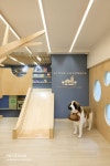 영어 유치원 인테리어 영어 유치원 인테리어 | Tienda de perros, Diseño de farmacia, Tienda de mascotas