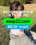 토지노분양-프라그메틱-카지노솔루션임대-프라그마틱무료체험메타