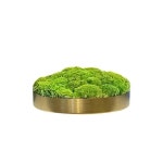Pin page Pin by Mi Jung on 스킨케어룸 in 2024 | Floral arrangements, Home accessories, Arrangement