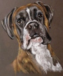 Dogs에 있는 핀 Pin di Pet Stuff & Grooming su Dog Art | Dipinti di cane, Ritratti di cani, Boxer (cane)