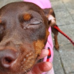 좋구먼 monerisa.tistory.com - 2020