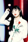 ㅡ 보니🍒