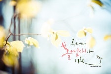 1번째 이미지 | 영감을 주는 인용구, 칼리그래피 아트, 수채화