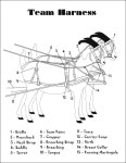 goats에 관한 19개의 최상의 Pinterest 이미지 | 염소, 농장 동물 및 농장 goats